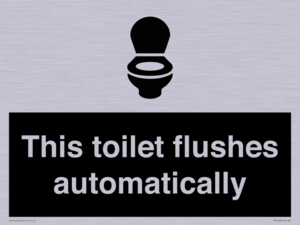 This toilet flushes automatically